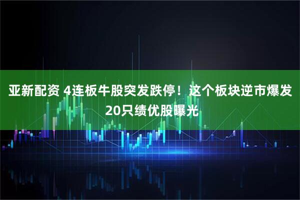 亚新配资 4连板牛股突发跌停！这个板块逆市爆发 20只绩优股曝光