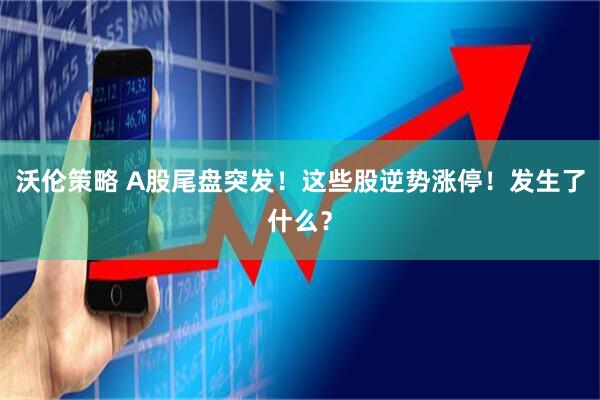 沃伦策略 A股尾盘突发！这些股逆势涨停！发生了什么？