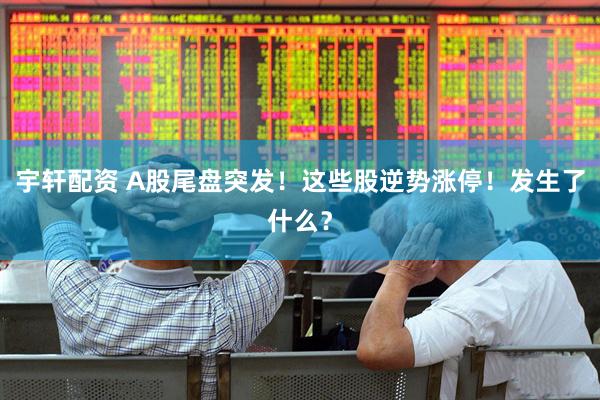 宇轩配资 A股尾盘突发！这些股逆势涨停！发生了什么？