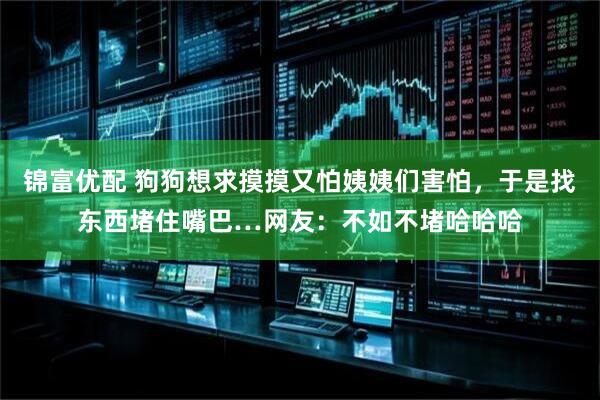 锦富优配 狗狗想求摸摸又怕姨姨们害怕，于是找东西堵住嘴巴…网友：不如不堵哈哈哈
