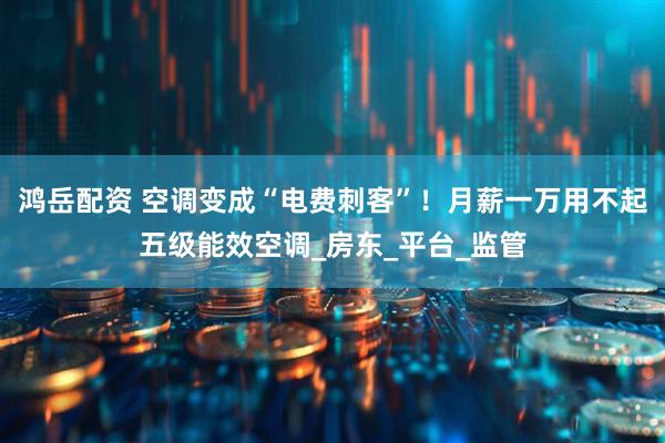 鸿岳配资 空调变成“电费刺客”！月薪一万用不起五级能效空调_房东_平台_监管